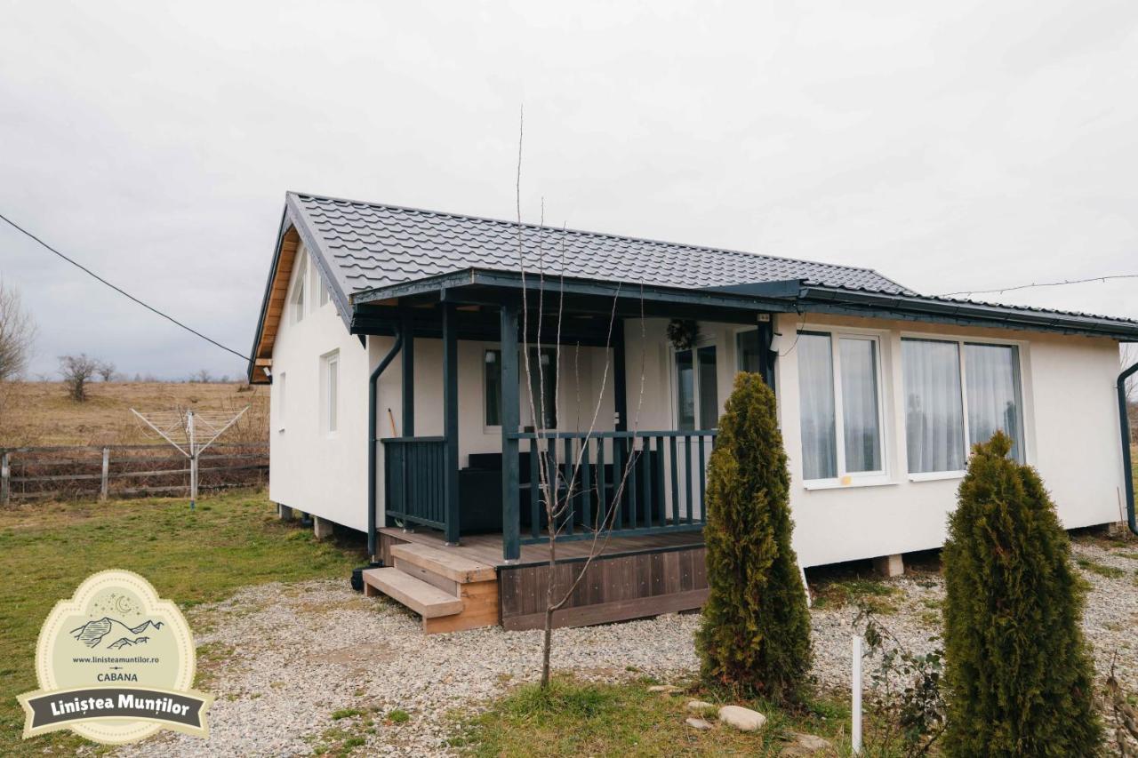 Linistea Muntilor Chalet Porumbacu de Sus Ngoại thất bức ảnh