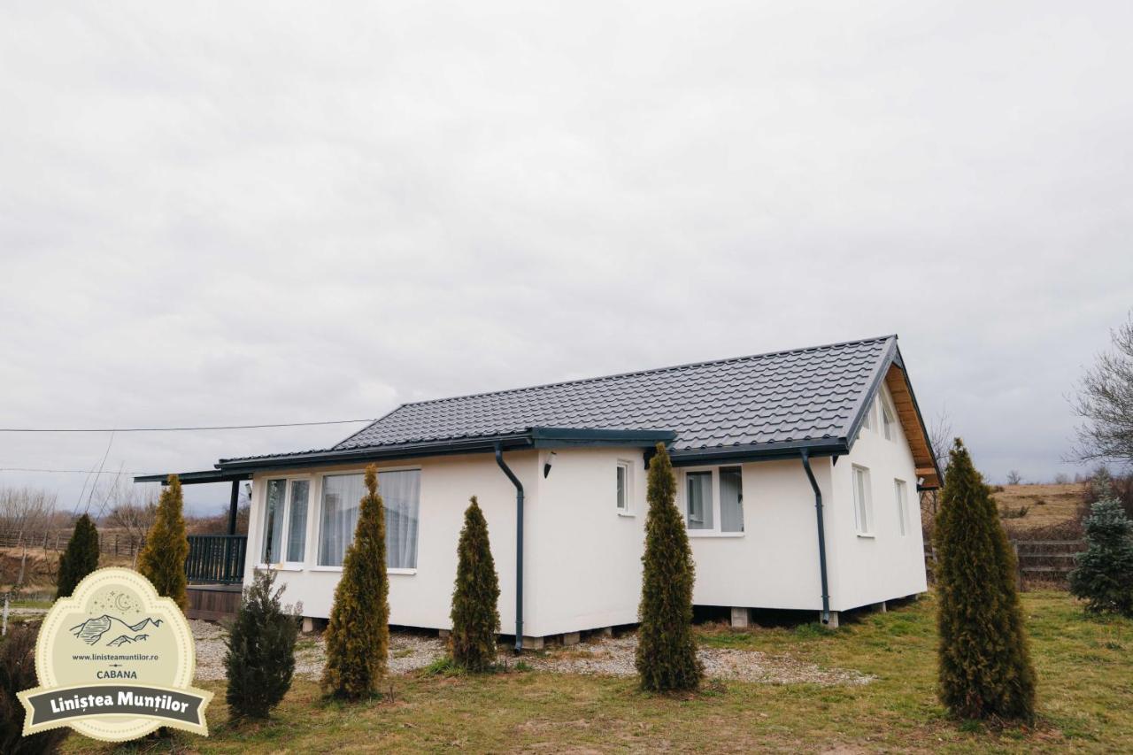 Linistea Muntilor Chalet Porumbacu de Sus Ngoại thất bức ảnh