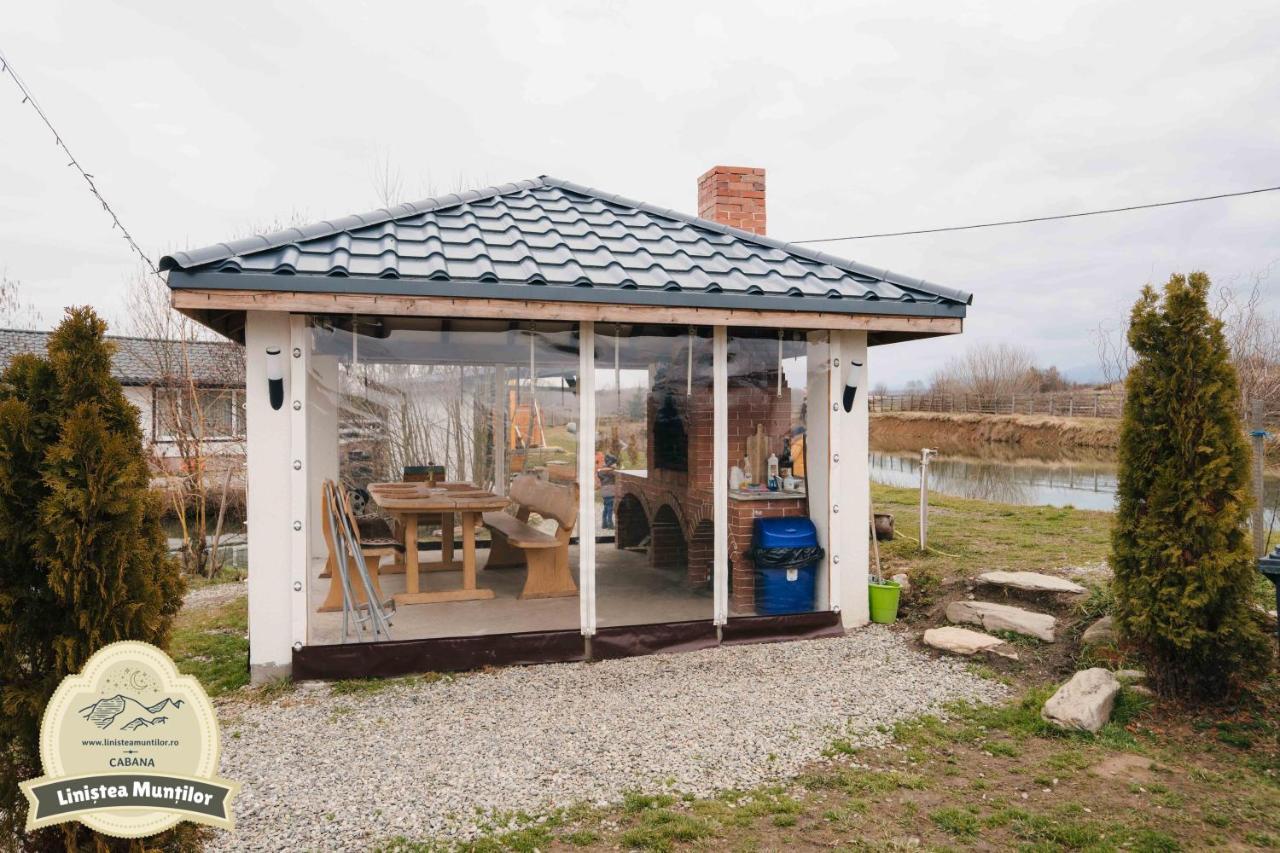 Linistea Muntilor Chalet Porumbacu de Sus Ngoại thất bức ảnh