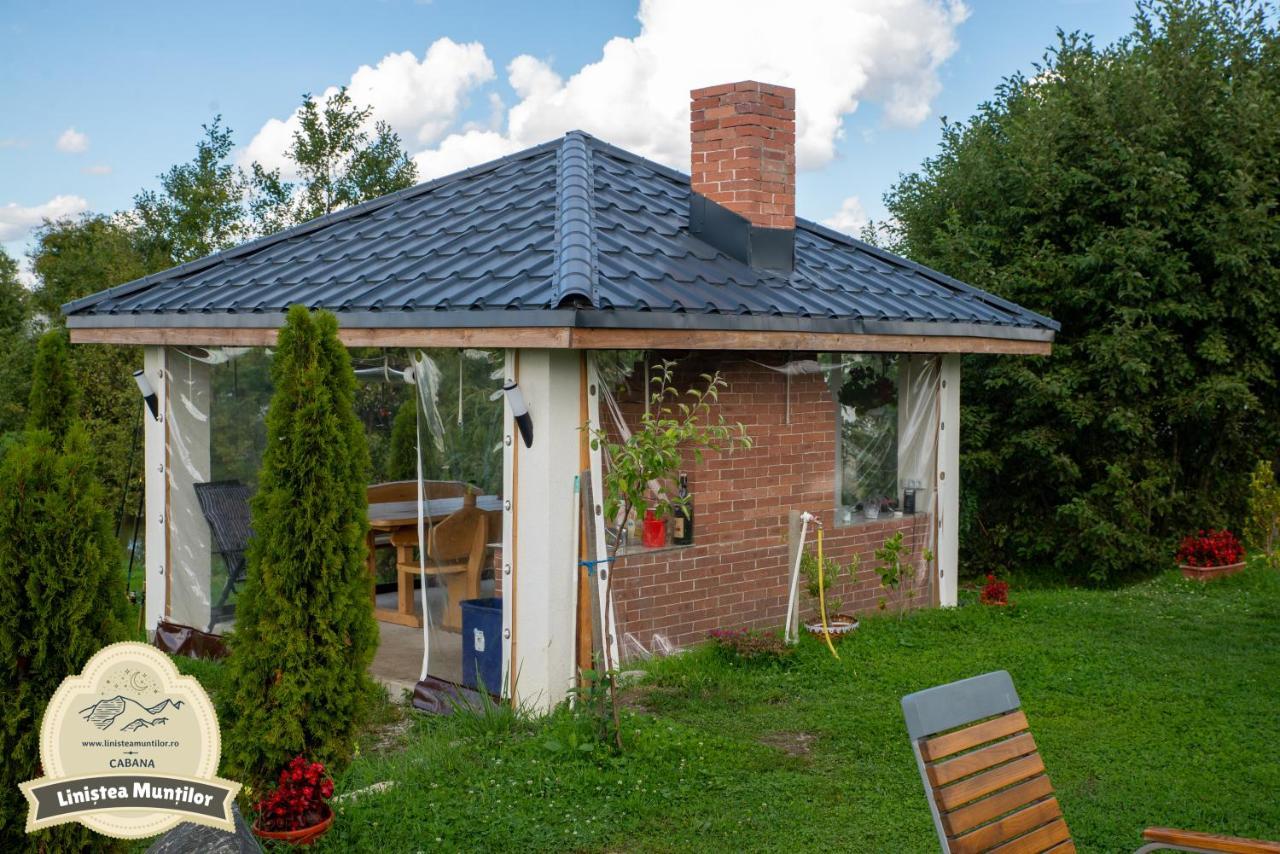Linistea Muntilor Chalet Porumbacu de Sus Ngoại thất bức ảnh