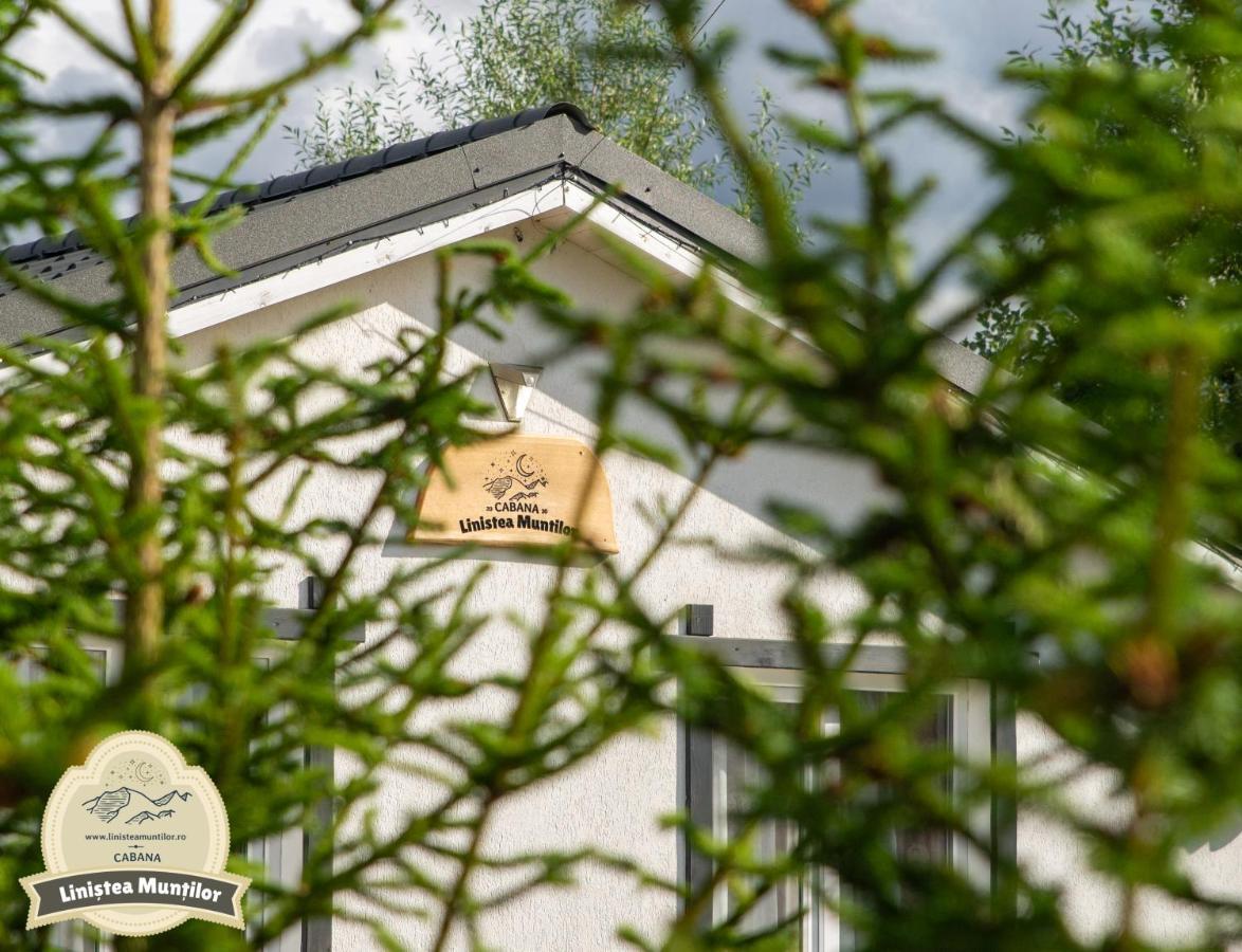 Linistea Muntilor Chalet Porumbacu de Sus Ngoại thất bức ảnh