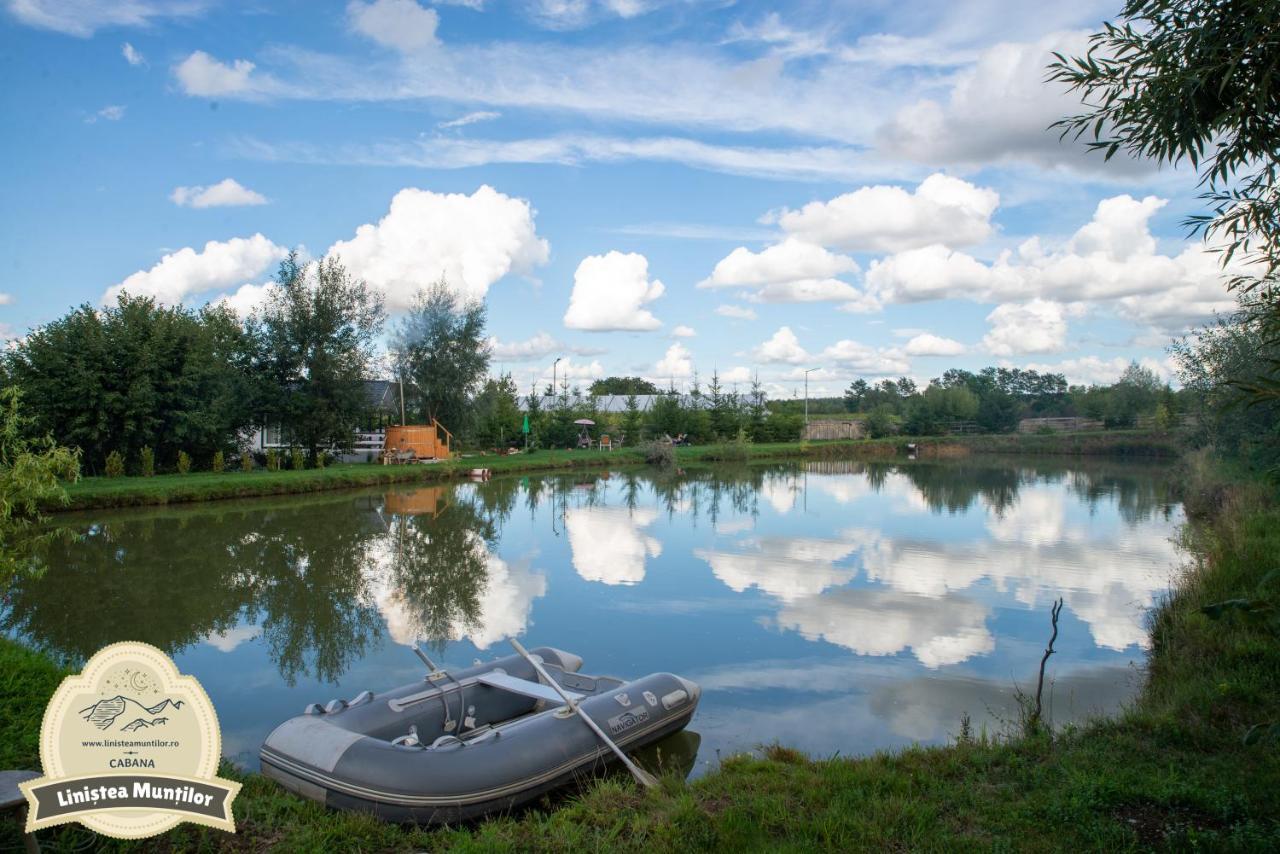 Linistea Muntilor Chalet Porumbacu de Sus Ngoại thất bức ảnh